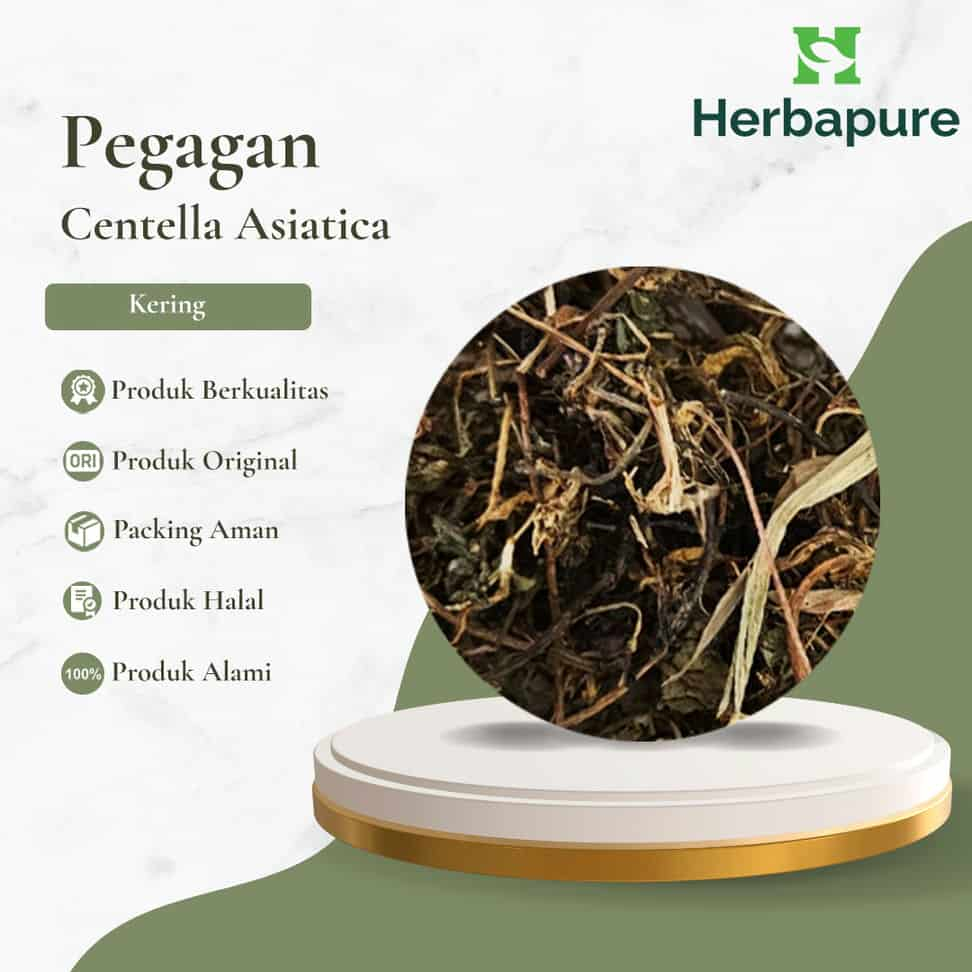 

Herbapure- Daun Pegagan Kering Herbal Otak & Kecerdasan, Atasi Asam Urat & Peredaran Darah