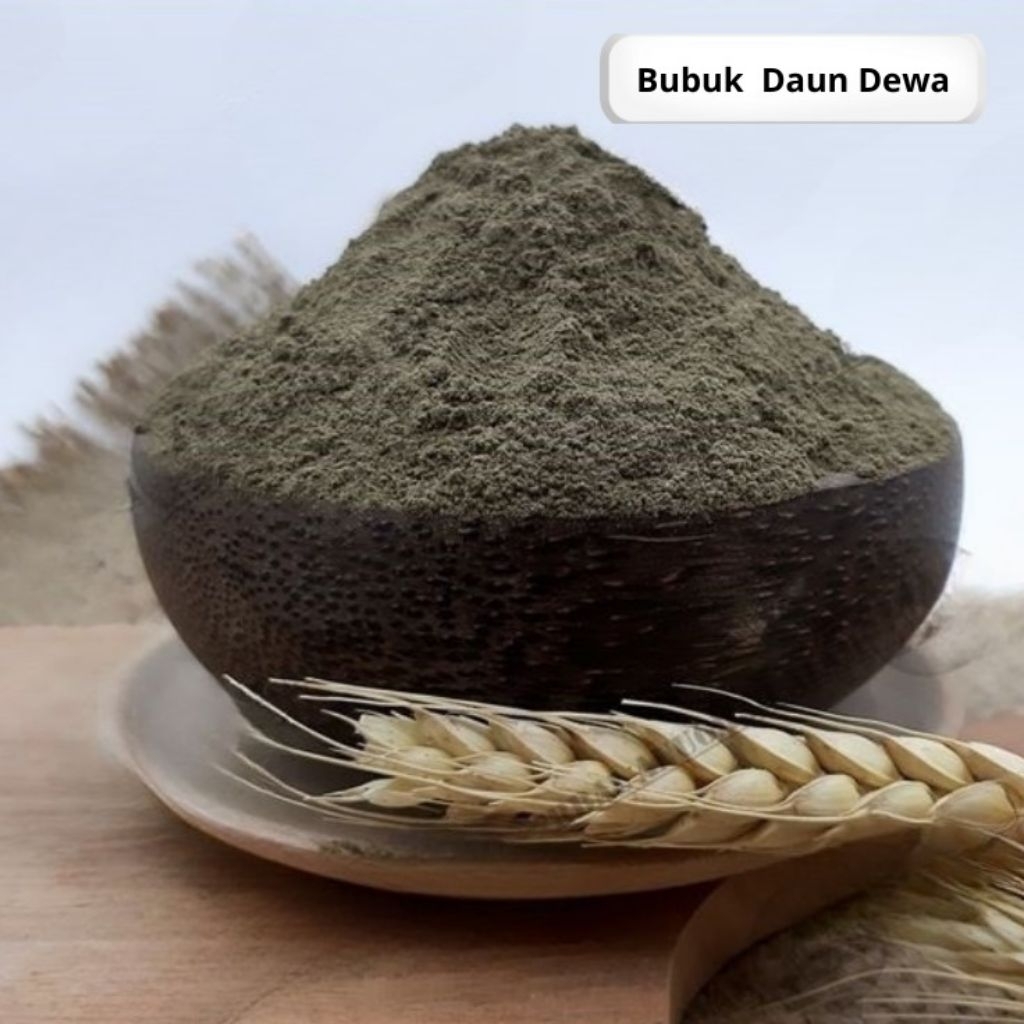 

1kg Bubuk Simplisia Herbal Umbi Dewa (Gynura segetum) 100% Alami