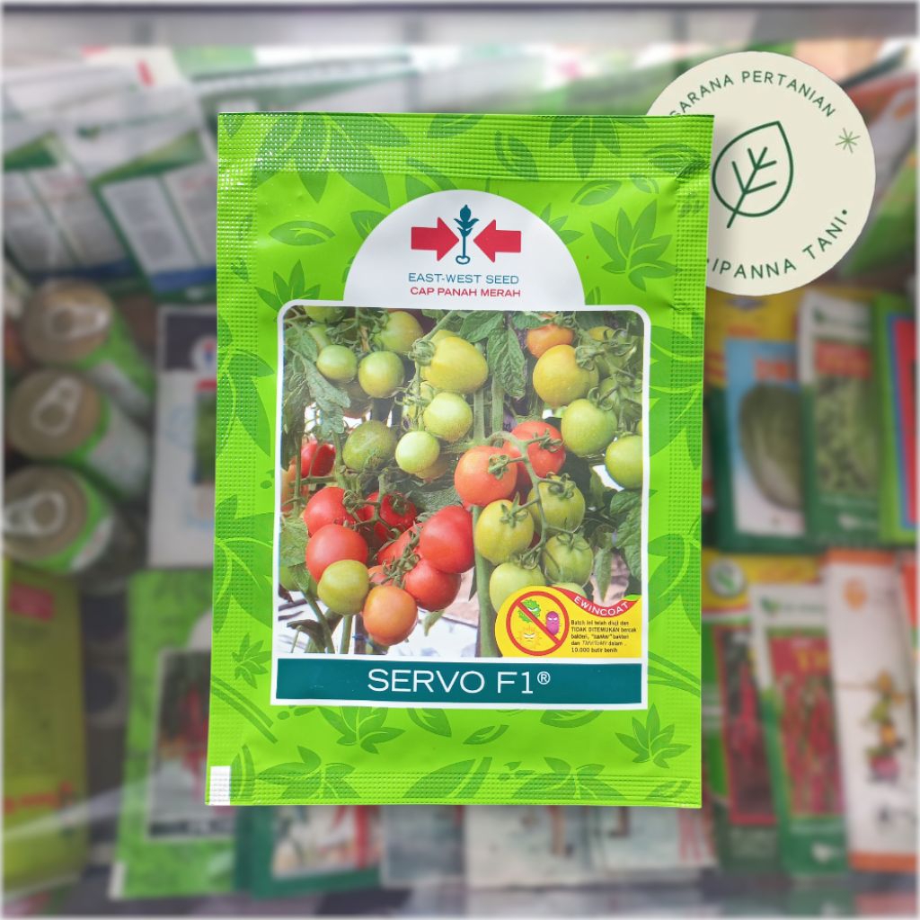 BENIH SERVO F1 10GR – BENIH TOMAT SERVO |  BIBIT TANAMAN TOMAT | BIBIT TOMAT | BENIH SAYUR TOMAT