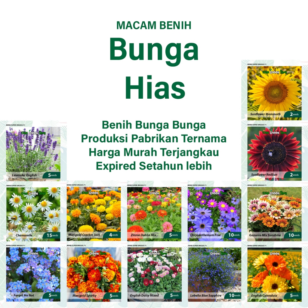 BENIH SERIBUAN - Macam Macam Benih Tanaman Bunga Hias Variasi Import