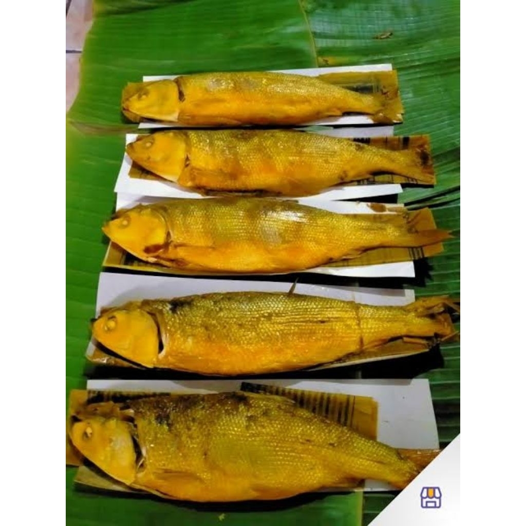 

ikan bandeng presto 1 ekor fresh termurah