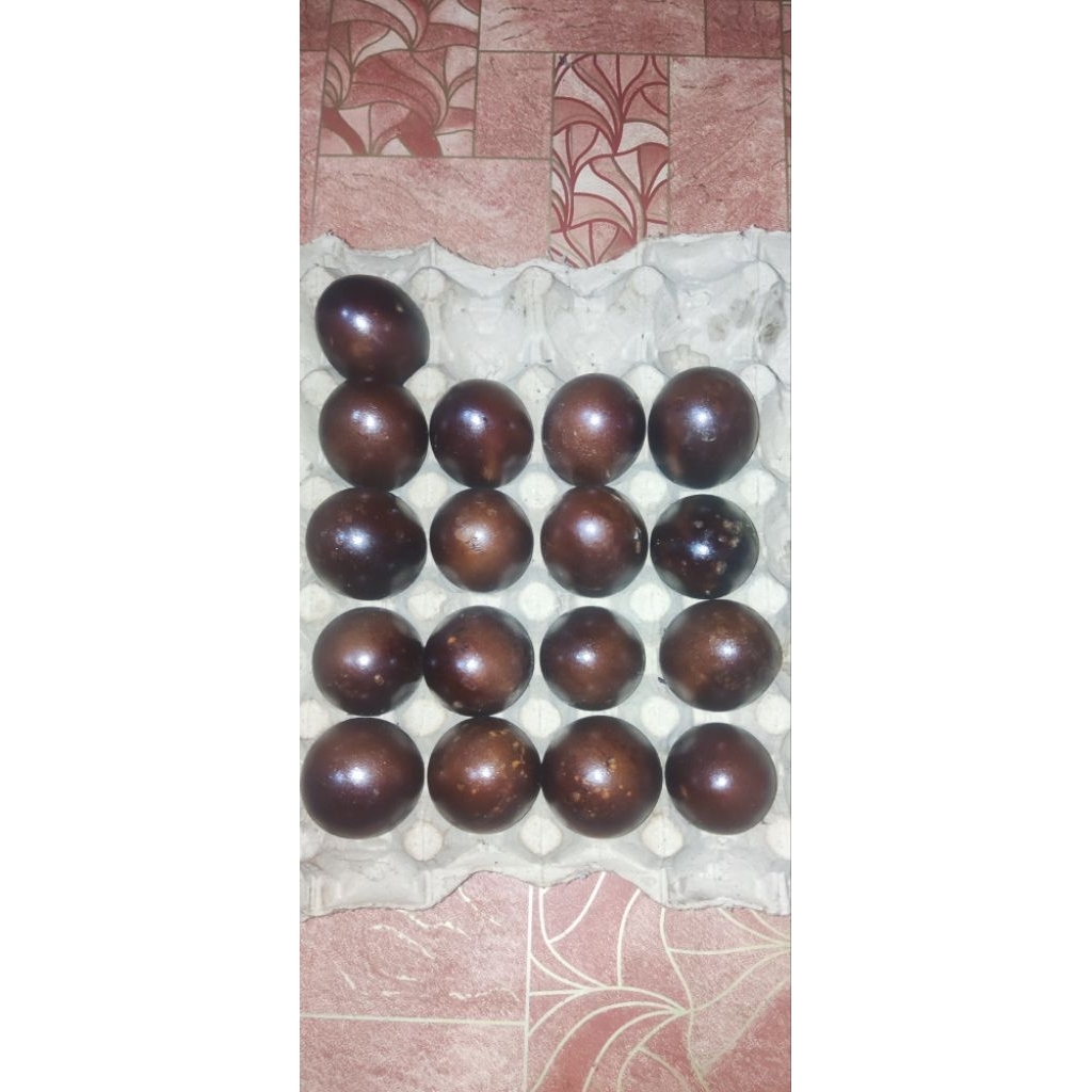 

telor asap 1 paket isi 8
