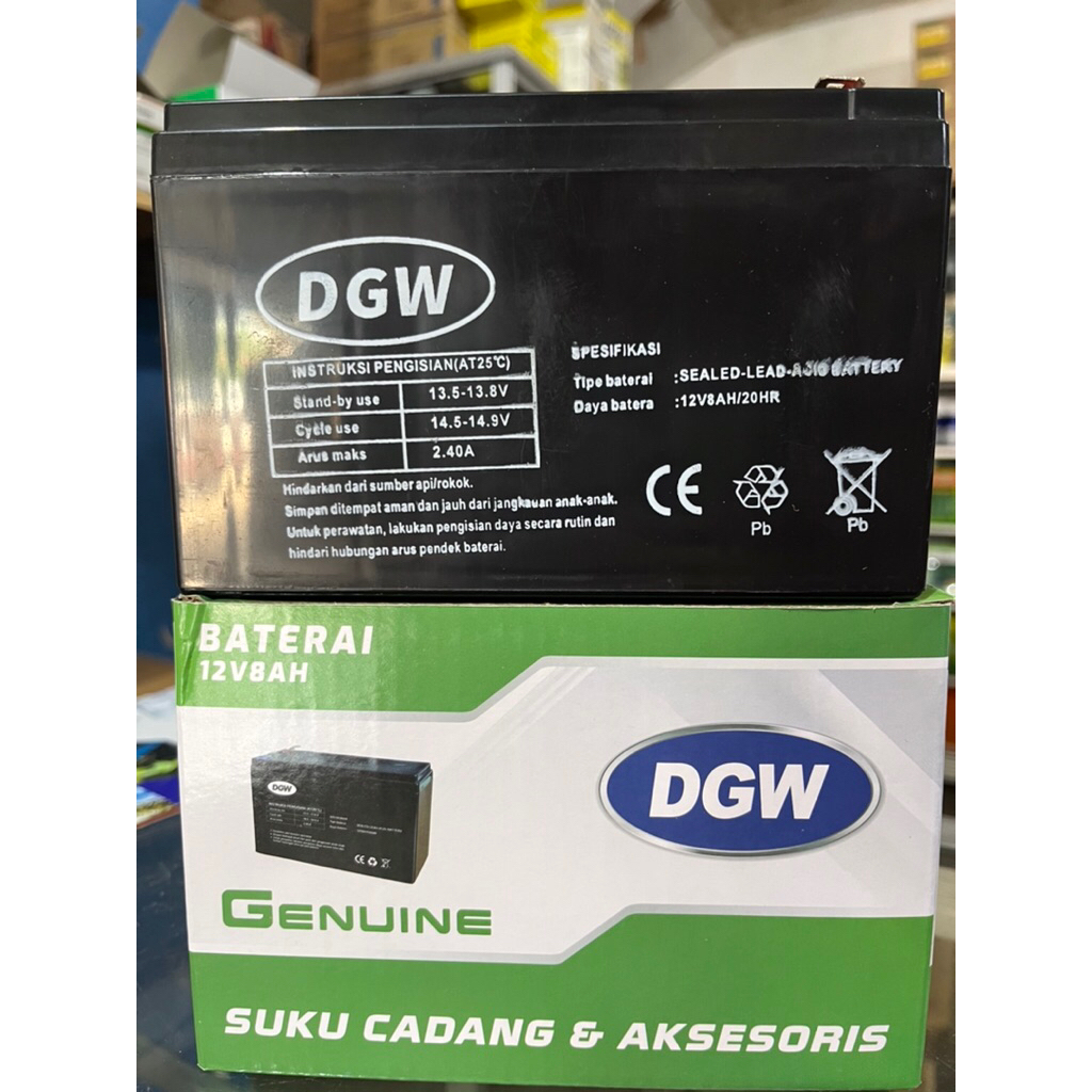 Aki Sprayer Elektrik Original Merk DGW