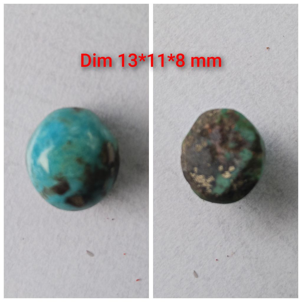 pirus Persia,pirus biru,pirus ijo 2