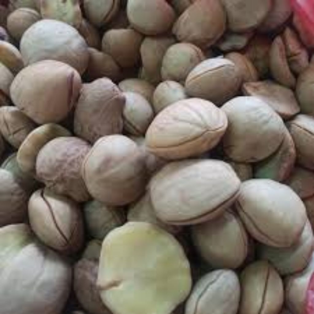 

jengkol tua rebus termurah 250 gr 500 gr 1 kg