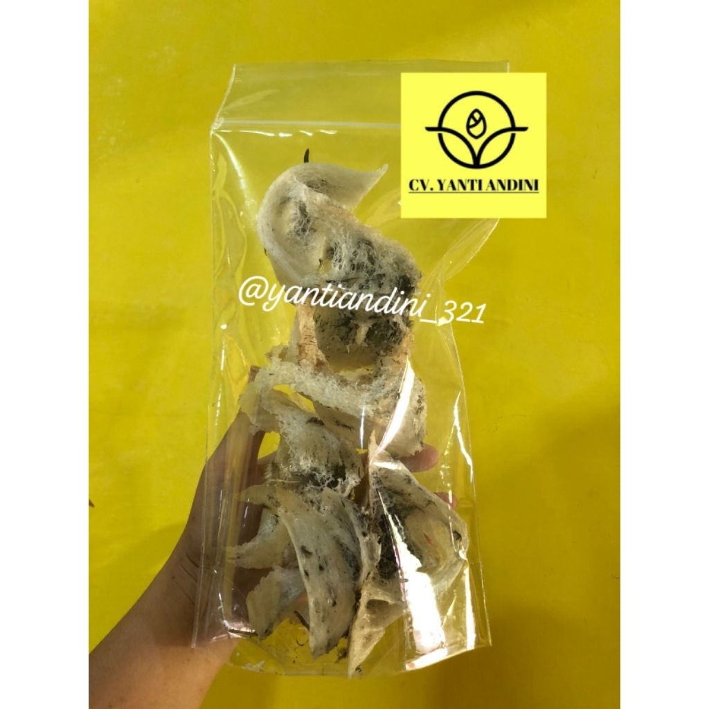 

Sarang Burung Walet 100 gram