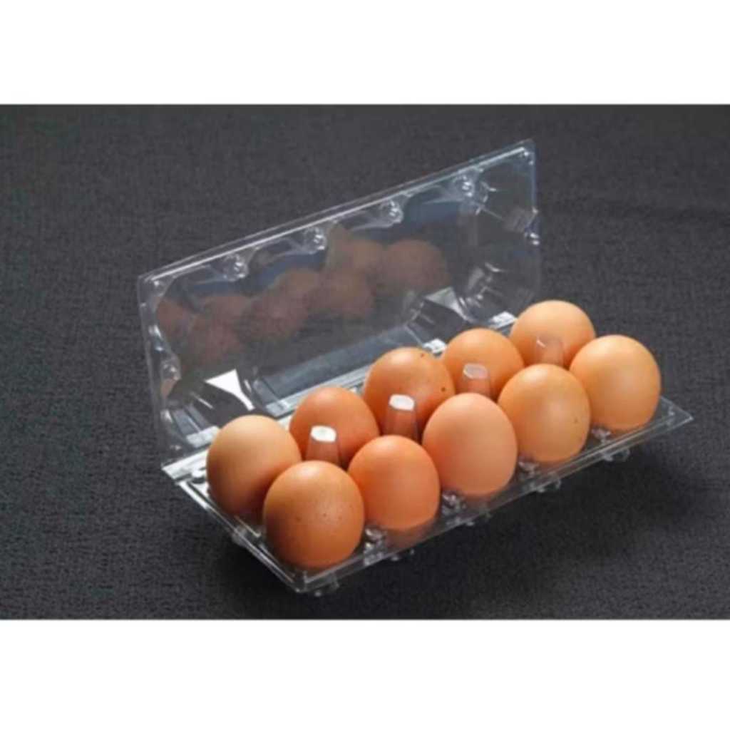 Mika Tray Telur ISi 10 / Egg Tray / Mika Tempat Telur lux