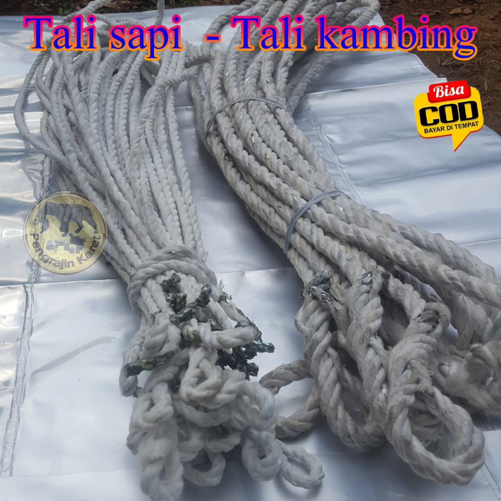 Tali sapi - Tali Kambing siap pakai, Tali keluh sapi, kerbau dan kambing, Tali tuntun sapi dan kambi