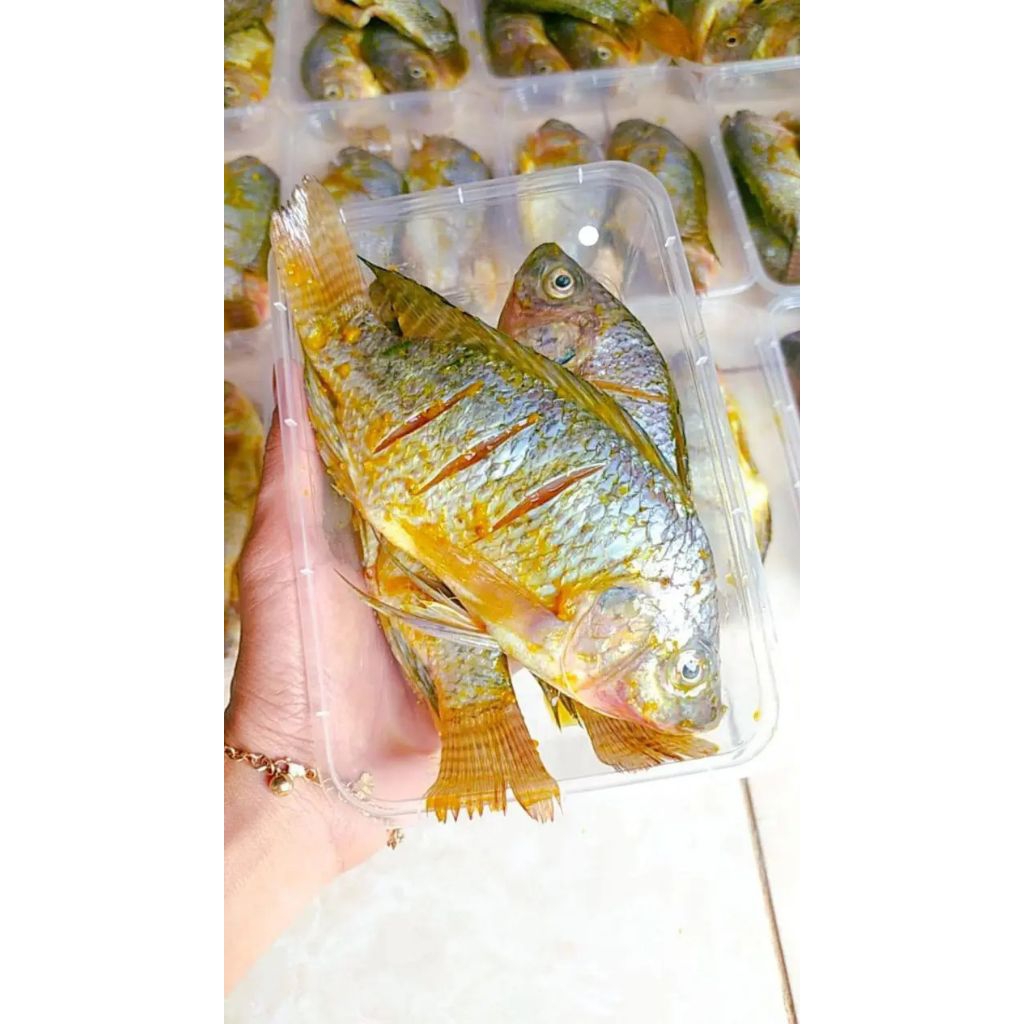 

IKAN NILA MARINASI SIAP DI MASAK