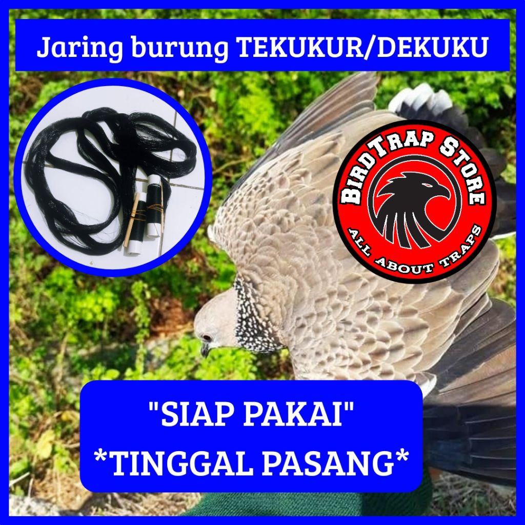 Jaring burung tekukur 10 m, jaring burung tekukur siap pakai tinggal pasang panjang 10 meter, jebaka