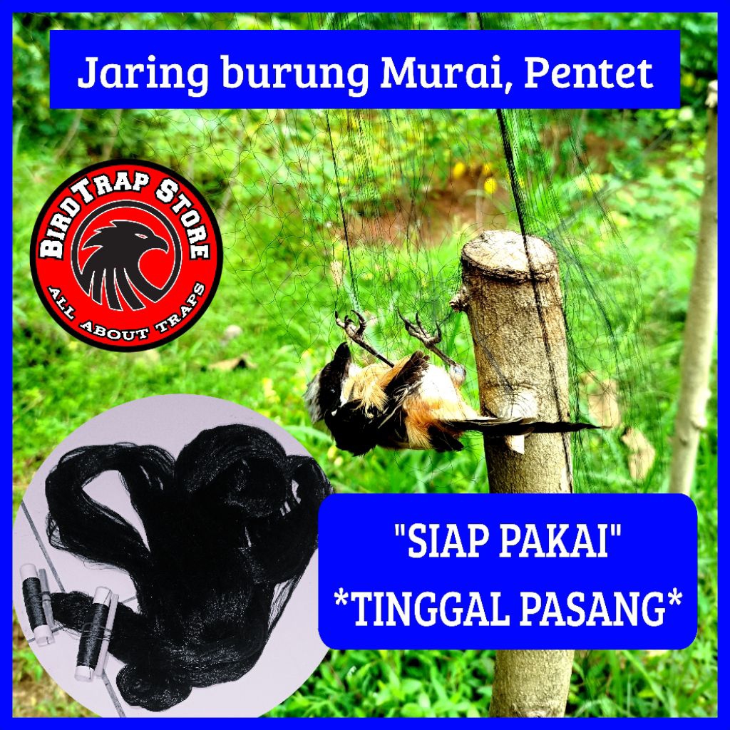 Jaring burung pentet cendet 20 meter, jaring burung pentet cendet siap pakai tinggal pasang panjang 