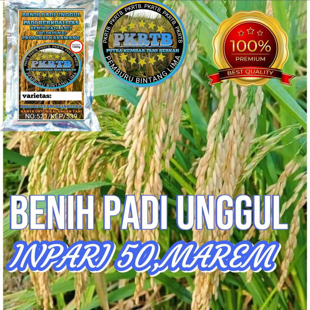 BENIH PADI INPARI 50, MAREM PER 5.KG SUPER UNGGUL