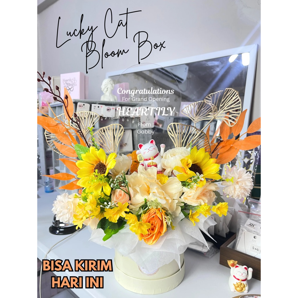 Buket Bunga Lucky Cat Bloom Box Grand Opening Mix Warna Balon Bucket Balloon Graduation Happy Birthd