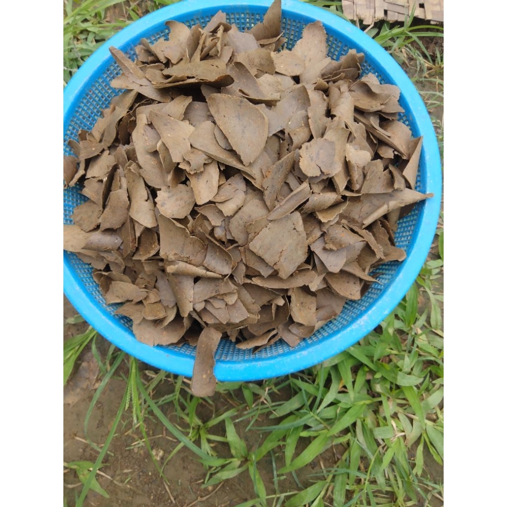 

jual kripik tanah liat kering 200 grm