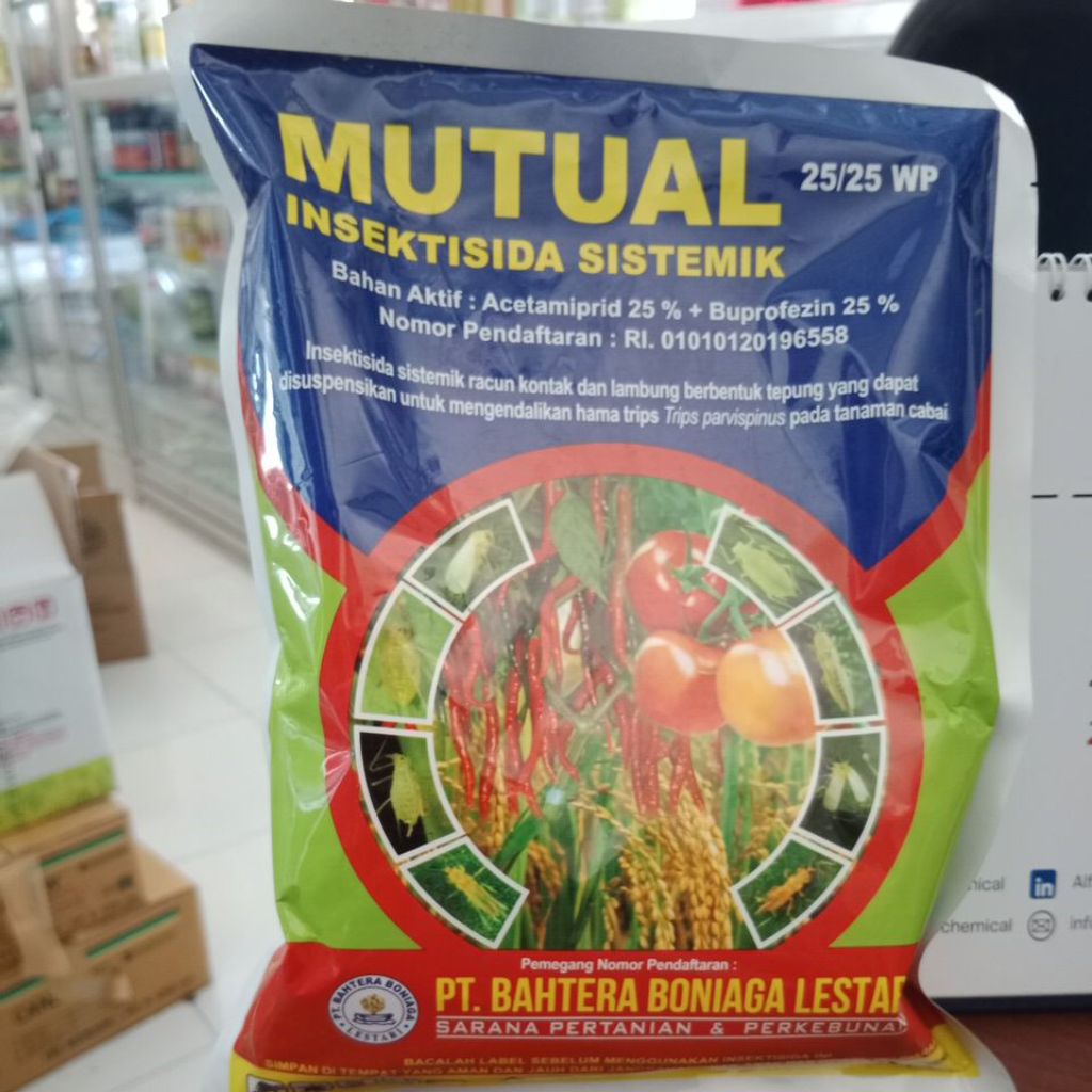 Insektisida sistemik Mutual 250 gram (Acetamiprid 25% + Buprofezin 25%)