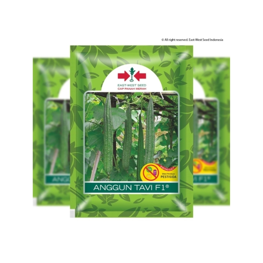 

Gambas / Oyong Anggun Tavi Isi 75 Butir Cap Panah Merah