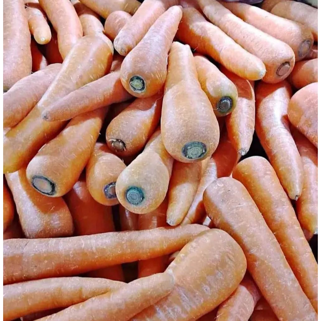 

Wortel Segar Fresh Kiloan 1 kg 1000gr - Aneka Sayuran