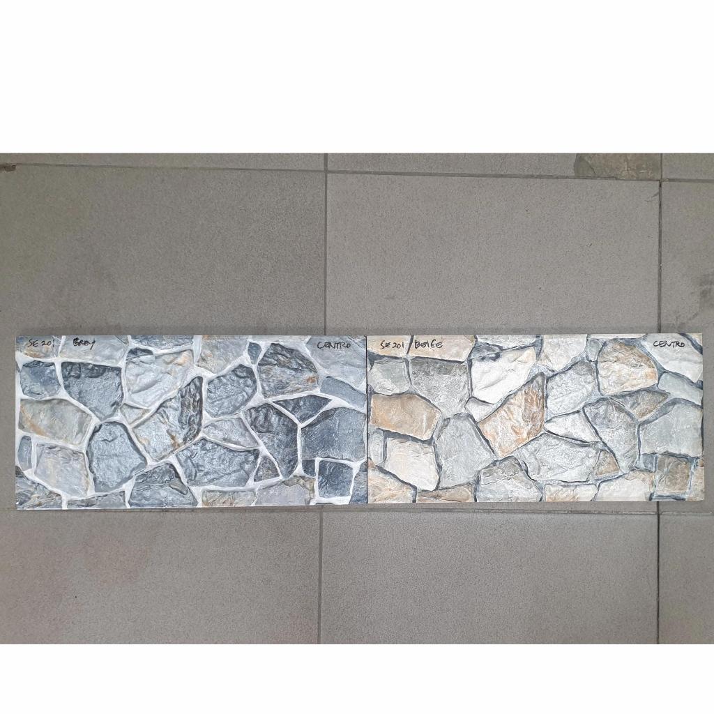 Keramik dinding CENTRO SE201 20x40