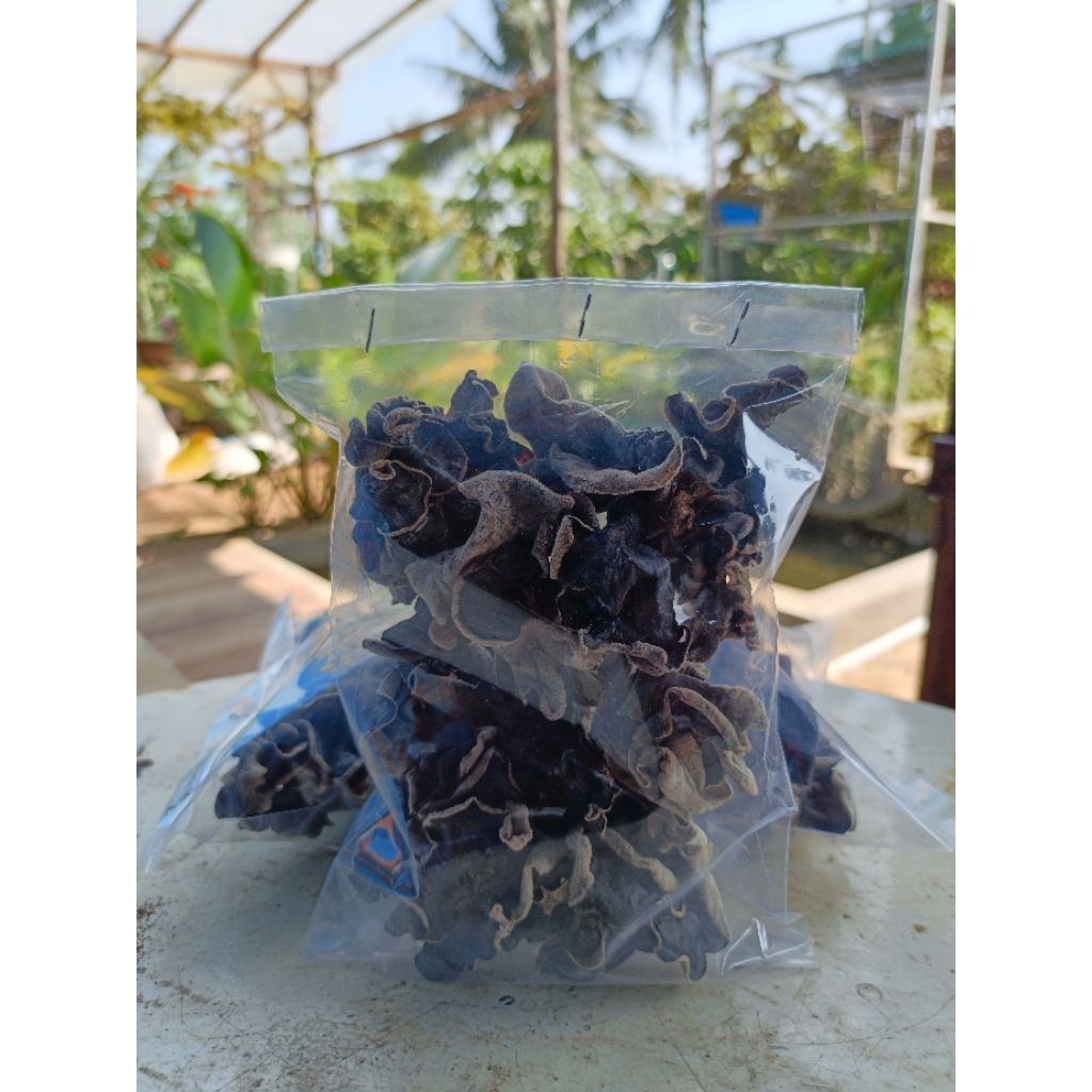 

terlaris jamur kuping hitam kering berat 100g kualitas baik