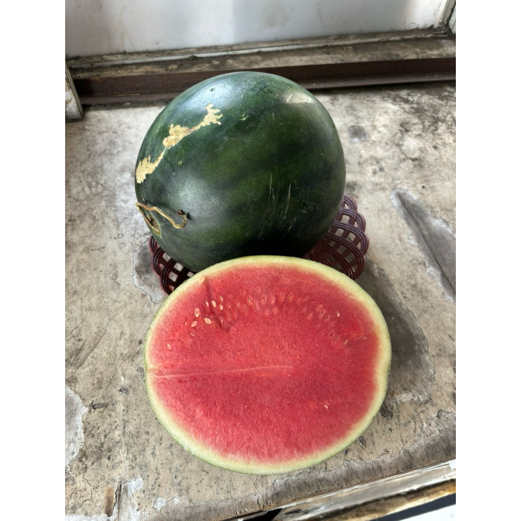 

buahfreshku - semangka merah 1 butir