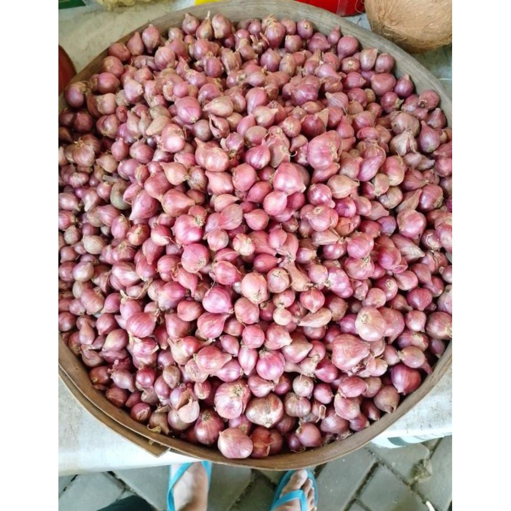 

BAWANG MERAH FRESSSSH