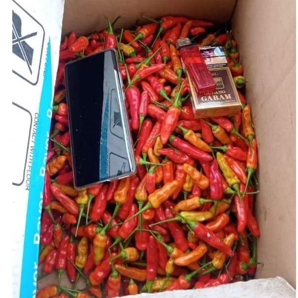 

CABAI RAWIT MERAH ORI (kaliber) segar 1 kg