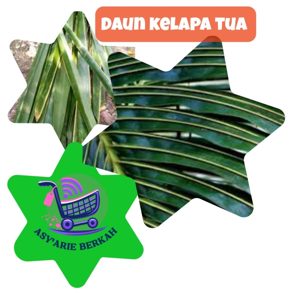 

Daun kelapa tua / janur hijau per 30 pcs