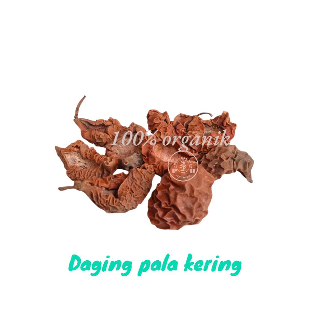 

Daging pala // cangkang pala kering 200gram organik