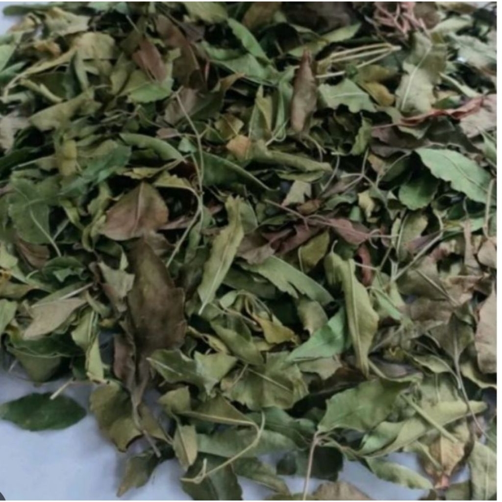 

Daun Mindi kering organik 500 gram alami-az