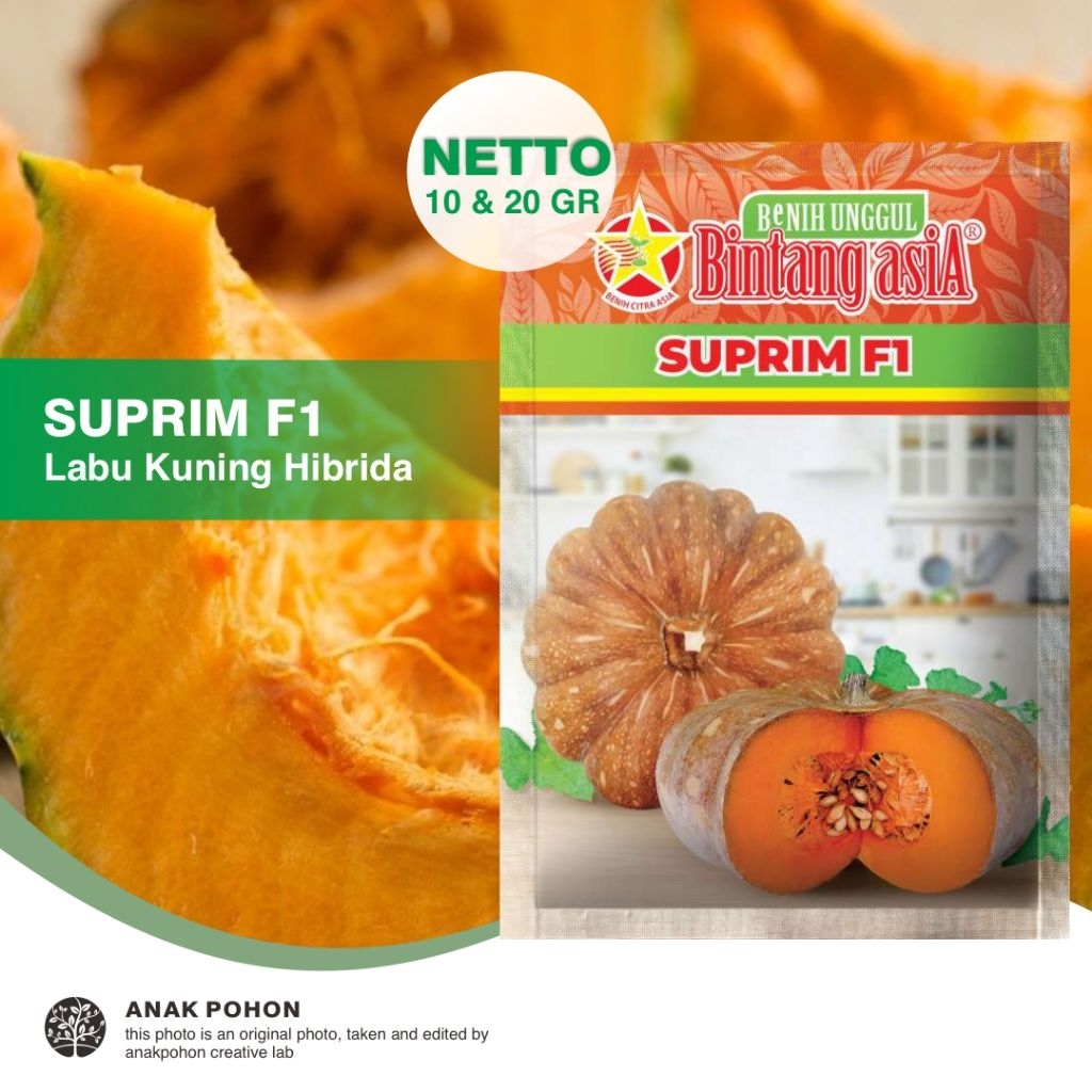 (1 PACK) Benih Labu SUPRIM F1 Hibrida Labu Kuning Pulen Seeds - Bintang Asia