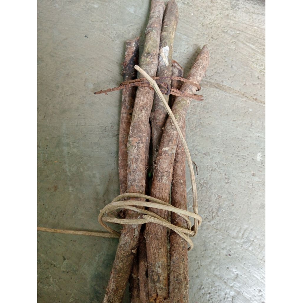 

Akar Bajakah Asli Kalimantan Barat