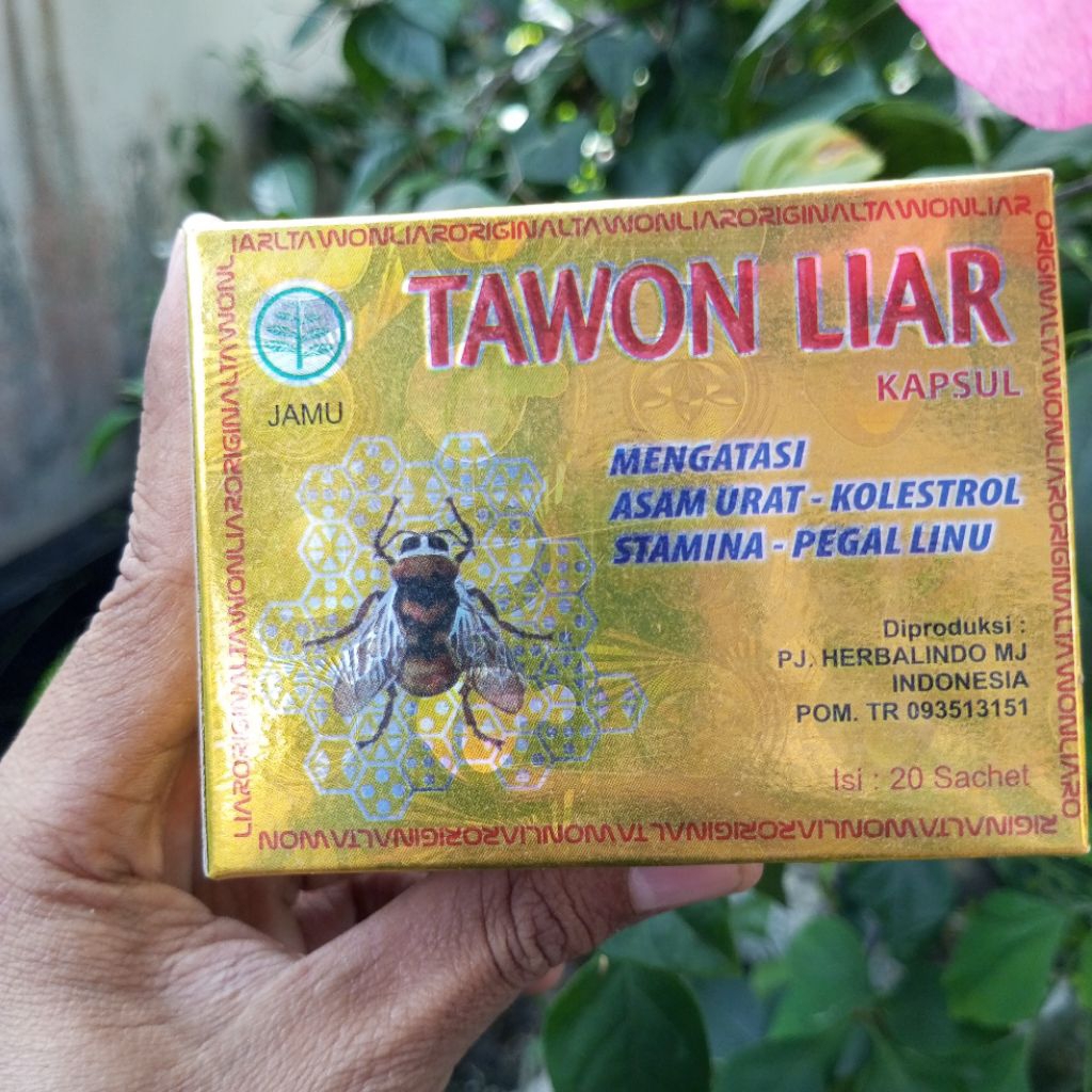 

TAWON L. - Herbal Asam Urat, Pegal Linu, Kolesterol