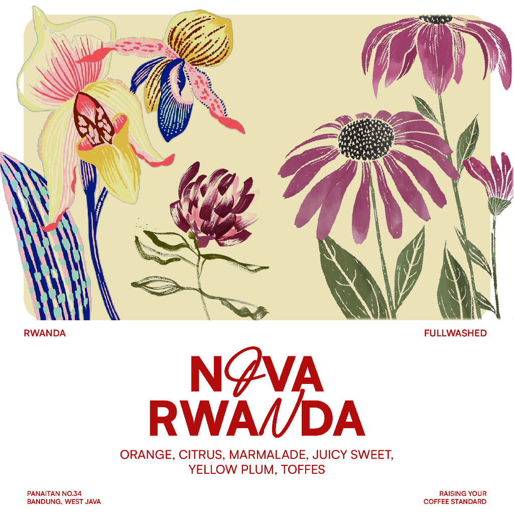 

JACK RUNNERS ROASTERY - EXOTIC BEANS - NOVA RWANDA - ROASTED BEANS COFFEE