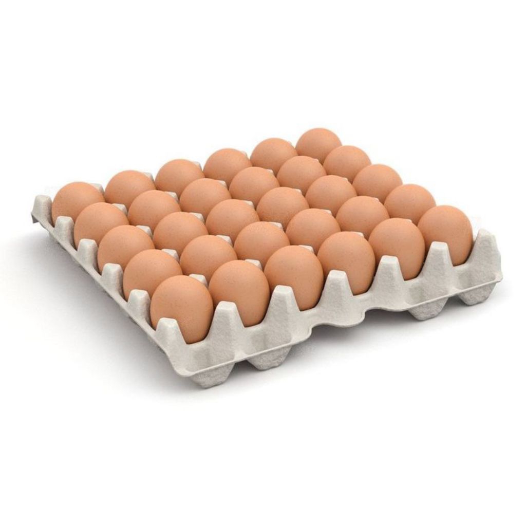 

Telur Ayam 500 Gram