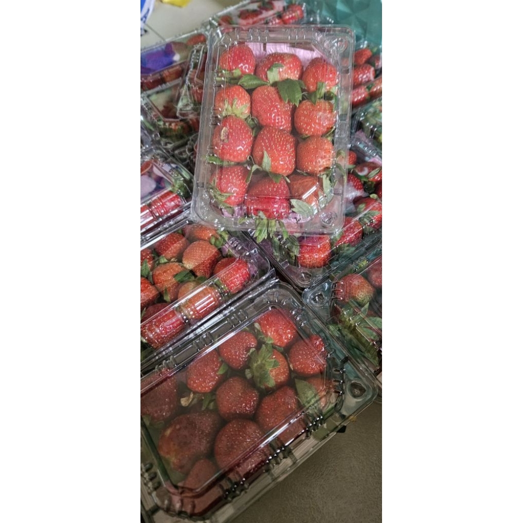 

Strawberry fresh 200 Gram strowberry