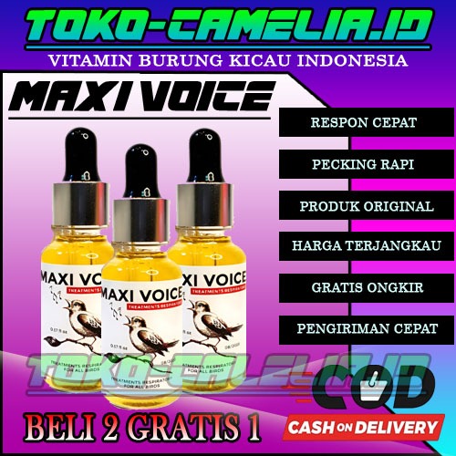 MAXI VOICE - Obat Burung Serak Ampuh Sembuhkan Suara Burung Serak (Terbaik, Effective, Best Seller)