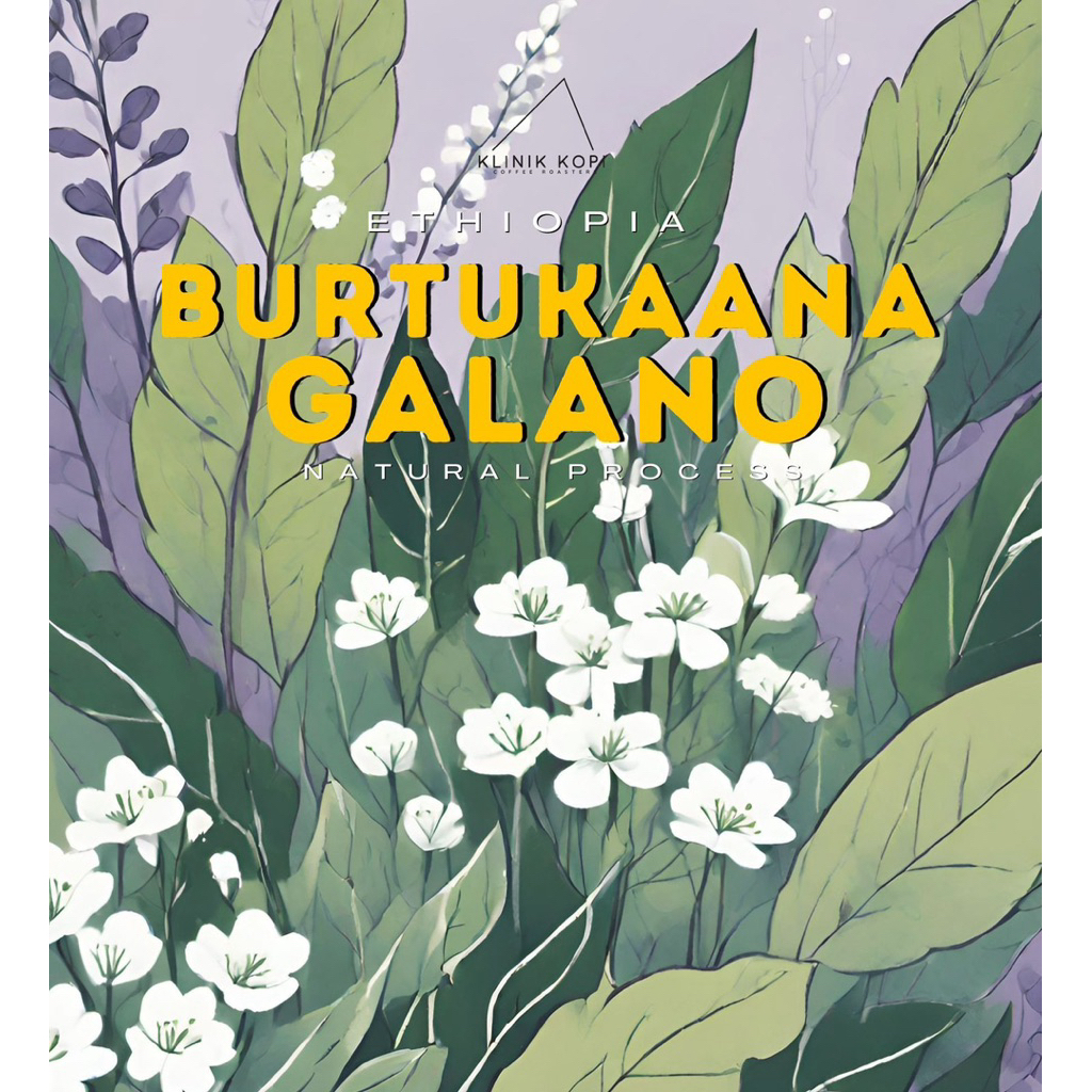 

Klinik Kopi Ethiopia Burtukana Galano Natural