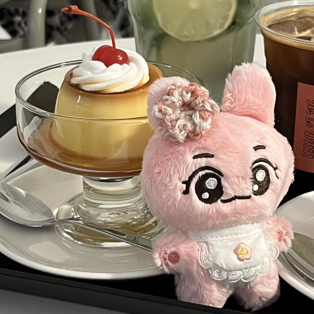 DOLL TOJAEM 10cm & POCKETJAEM ( doll jaemin )