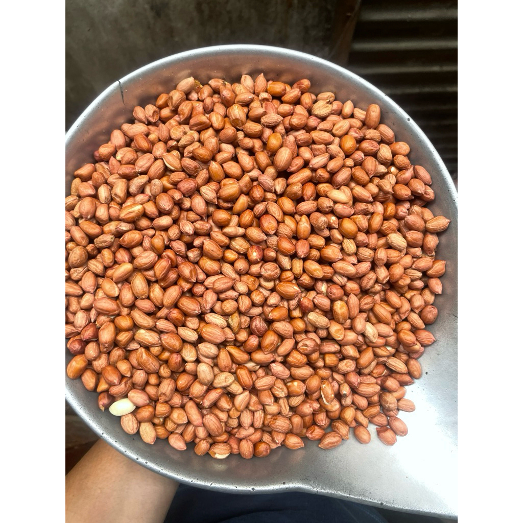 

kacang tanah mentah 1kg