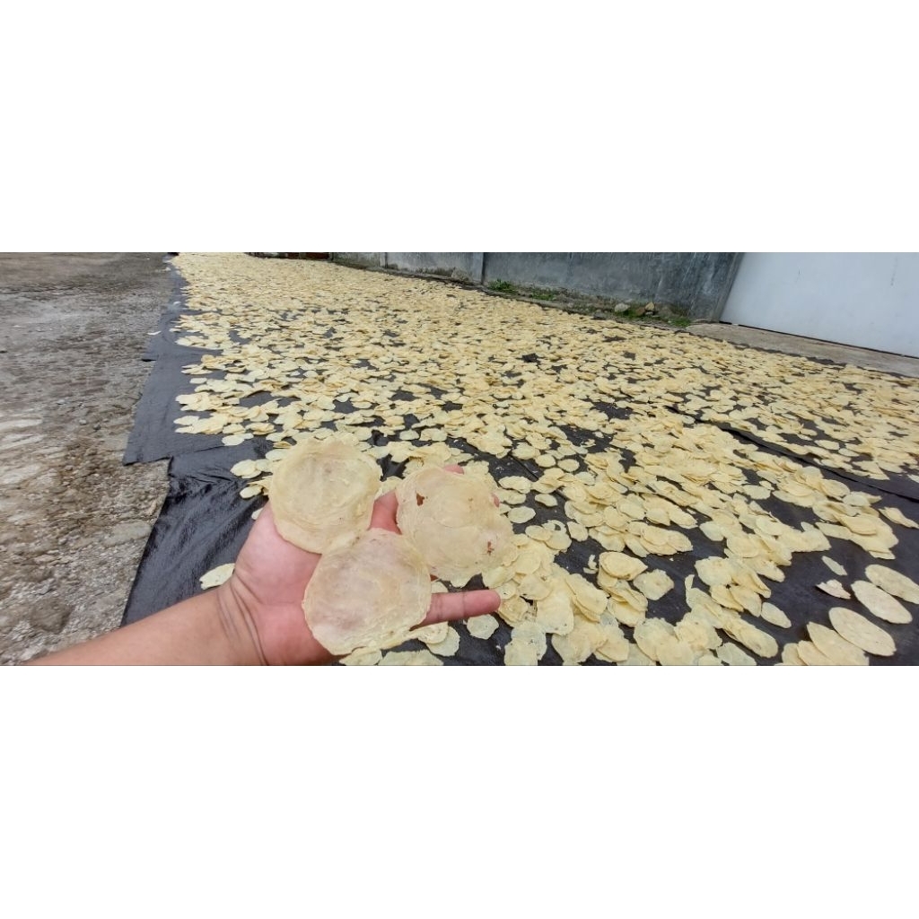 

EMPING MELINJO LB (LEBAR) FULL KERING (daya simpan 12 bulan)
