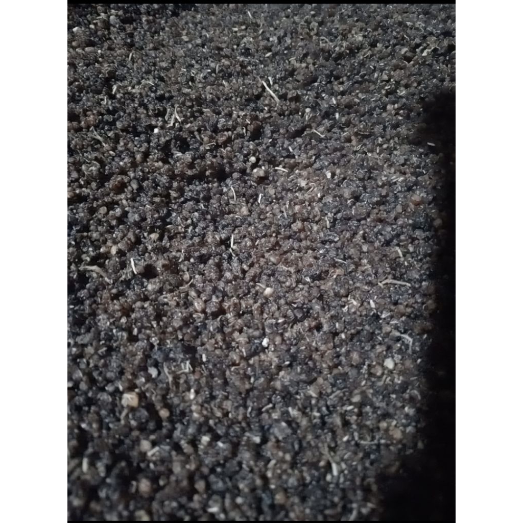 

Nasi Tiwul HITAM pulen Organik 100% asli terbuat dari singkong 1 kg