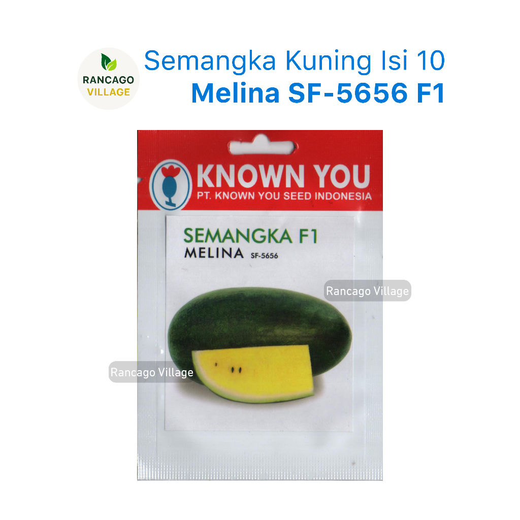 Benih Semangka Kuning Melina F1 Melina SF-5656 Known You Seed Isi 10 Biji
