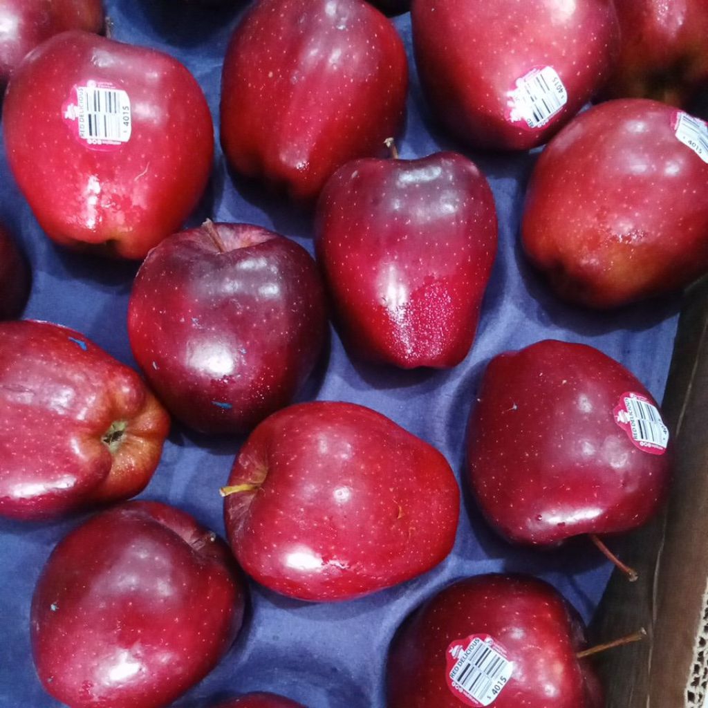 

Apel Merah USA // Apel Merah // apel red delicious Fresh 1kg