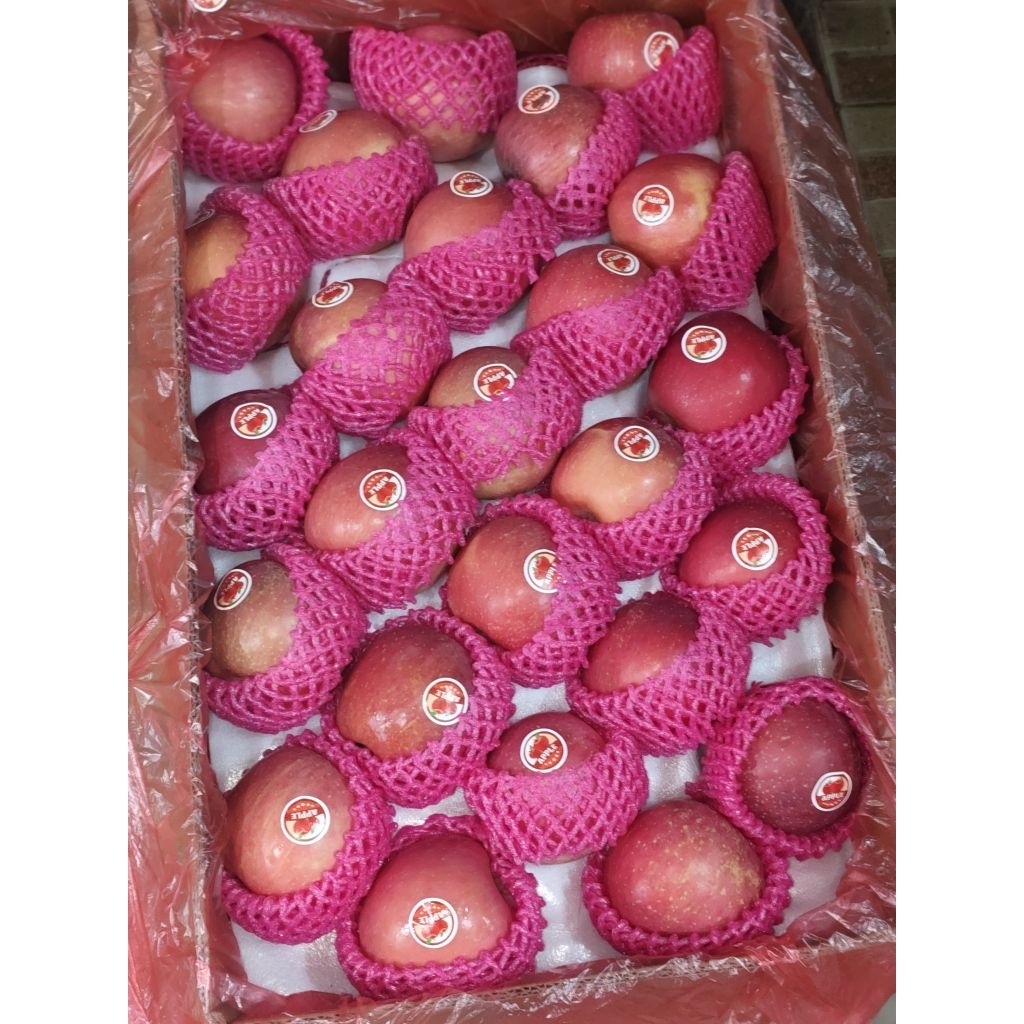 

Apel Fuji 1kg lebih