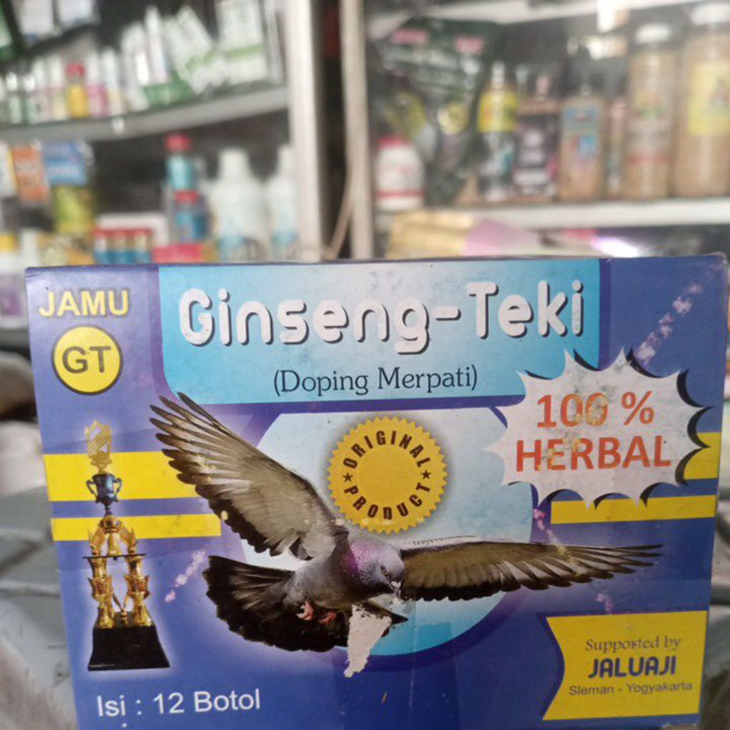 GINGSENG - TEKI JAMU GT. DOPING MERPATI