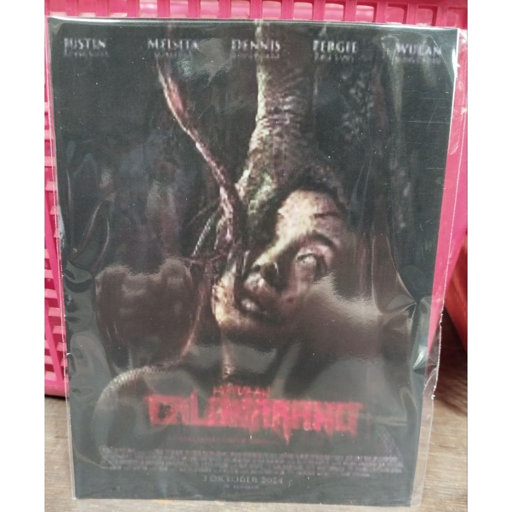 dvd terbaru calon arang 2025