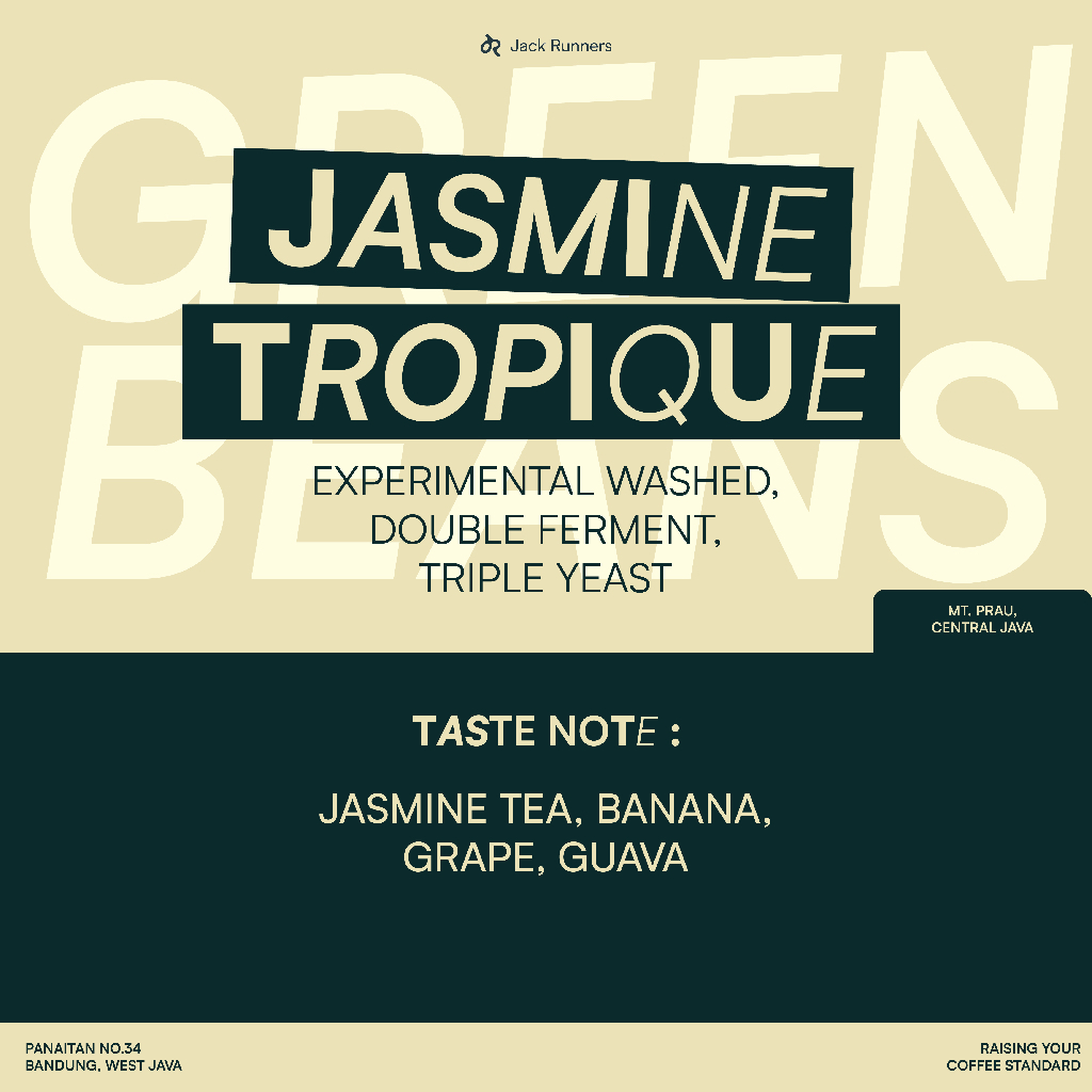 

JACK RUNNERS ROASTERY - JASMINE TROPIQUE - GREEN COFFEE BEANS