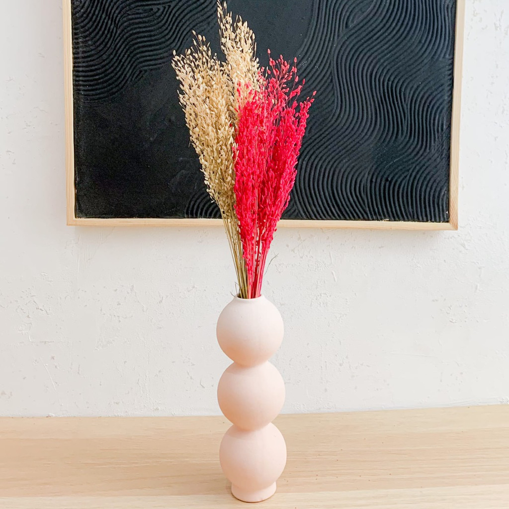 Bunga Kering Springkel / Dried Flowers / Bunga Kering / Bunga Kering Hias untuk Dekorasi Ruangan