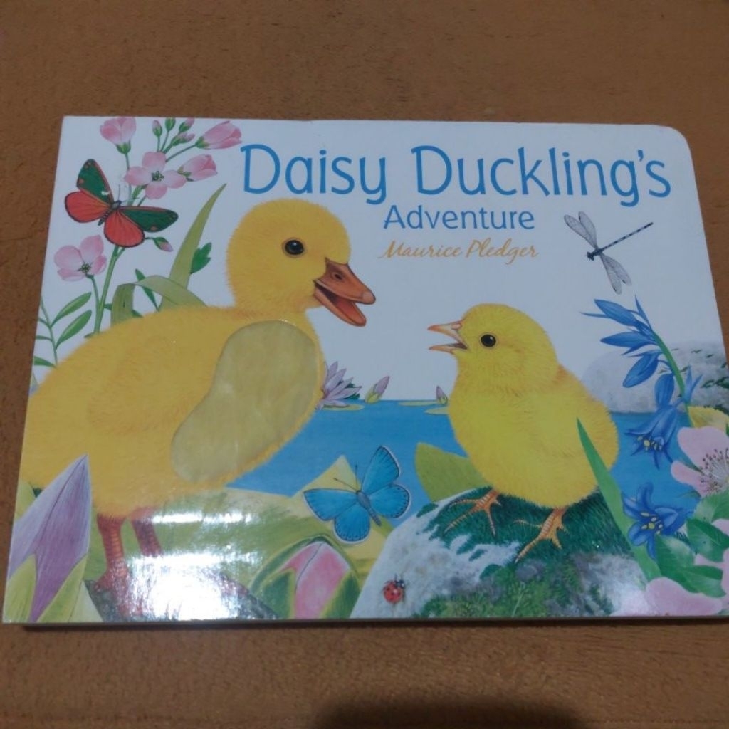 Daisy Duckling's Adventure by Maurice Pledger