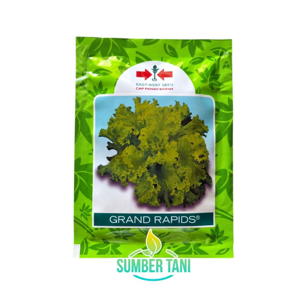 

Benih Selada Grand Rapids 15 Gram | Cap Panah Merah